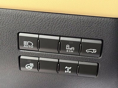 2019 Lexus NX 300 Base Premium AWD