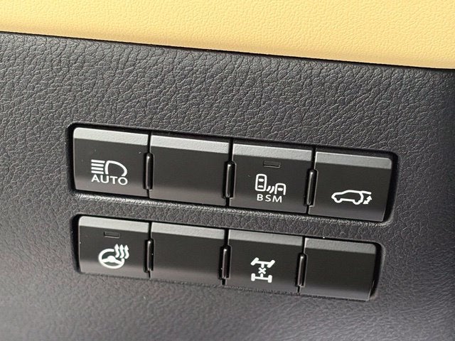 2019 Lexus NX 300 Base Premium AWD