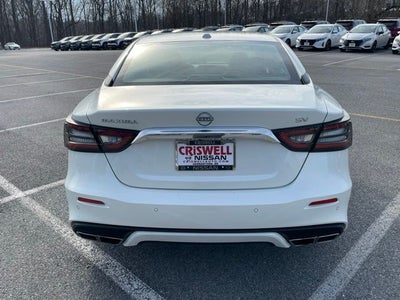 2023 Nissan Maxima SV