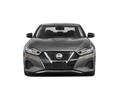 2023 Nissan Maxima SV